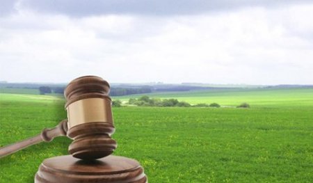Проведено земельні торги Проведено земельні торги
