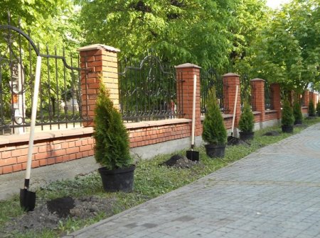 У Івано-Франківську провели екологічну акцію У Івано-Франківську провели екологічну акцію