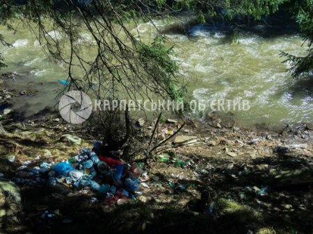 Голі гори та сміття – реалії Українських Карпат