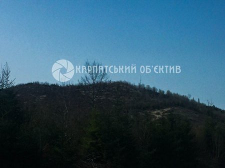 Голі гори та сміття – реалії Українських Карпат