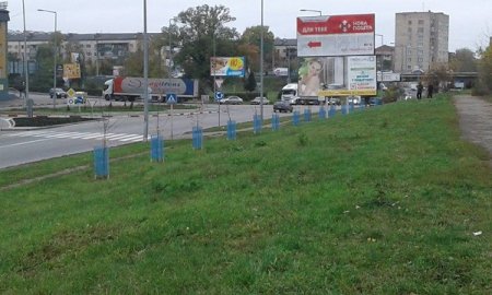 Незабаром Івано-Франківськ зазеленіє