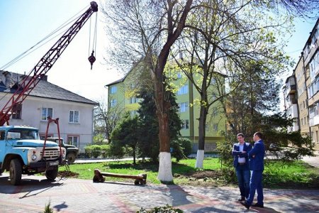 Вперше на території садочку № 15 «Гуцулочка» встановлять освітлення