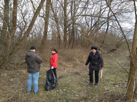 Відбулася міська толока