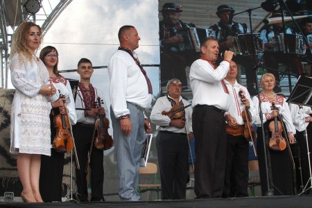 Барви Карпатського ліжника
