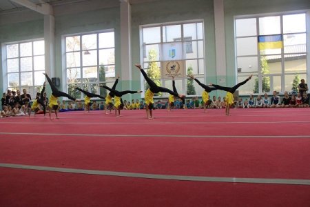 Турнір зі спортивної гімнастики