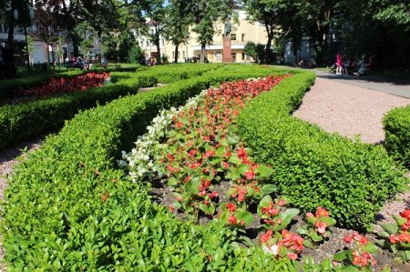 Так квітне Франківськ