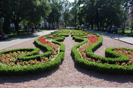 Так квітне Франківськ