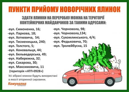 Куди подіти ялинку?