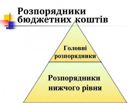 Хто вони – головні розпорядники коштів місцевого бюджету?