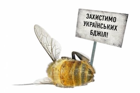 Затверджено склад комісії із встановлення факту отруєння бджіл на території Івано-Франківської міської територіальної громади