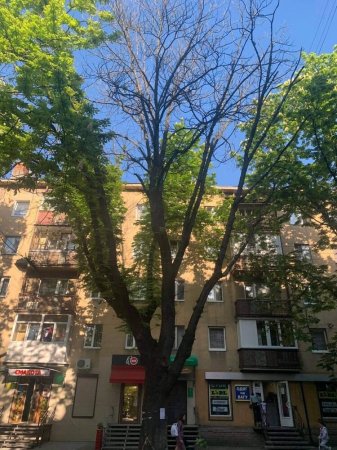 УВАГА! Важлива інформація!