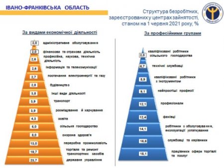 Яка категорія осіб шукає роботу в службі зайнятості Прикарпаття?