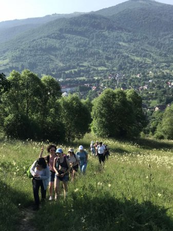 ПЕДАГОГІКА ПАРТНЕРСТВА ЧЕРЕЗ ПРИЗМУ STEM-ОСВІТИ