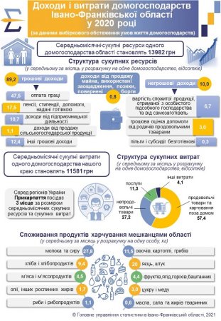 Джерела доходів і витрат домогосподарств Прикарпаття