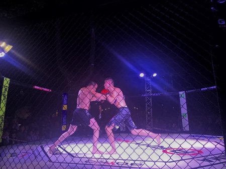 ОРКЕСТРИ, ФІЛЬМИ ТА БОЇ «ARMY MMA»: ЯК ПАЛАЦ ПОТОЦЬКИХ СВЯТКУВАВ