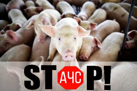 ЩОДО ВИПАДКУ АЧС В ЗАПОРІЗЬКІЙ ОБЛАСТІ