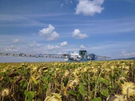 Осіннє застосування десикантів на посівах сільськогосподарських культур. Вимоги 