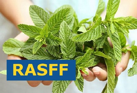 ПОВІДОМЛЕННЯ RASFF ЩОДО ВИЯВЛЕННЯ  САЛЬМОНЕЛИ  У ЛИСТІ М’ЯТИ  