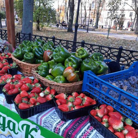 Розпочав роботу Франківський Крафтовий Ярмарок - ярмарок локальних фермерських та крафтових продуктів