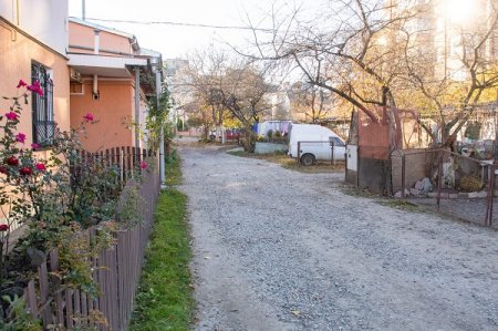 ПАРК «МОЛОДІЖНИЙ» ВЗЯВ КУРС НА ОМОЛОДЖЕННЯ