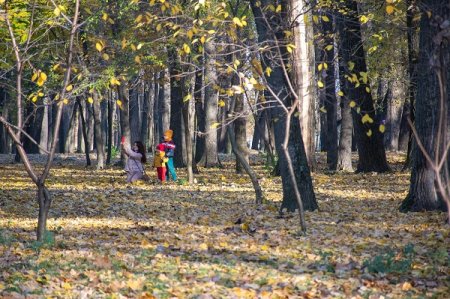 ПАРК «МОЛОДІЖНИЙ» ВЗЯВ КУРС НА ОМОЛОДЖЕННЯ