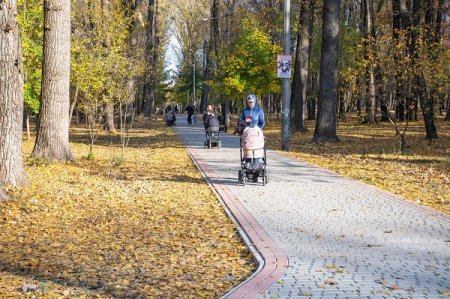 ПАРК «МОЛОДІЖНИЙ» ВЗЯВ КУРС НА ОМОЛОДЖЕННЯ