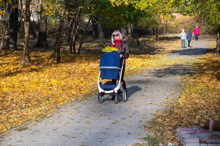 ПАРК «МОЛОДІЖНИЙ» ВЗЯВ КУРС НА ОМОЛОДЖЕННЯ