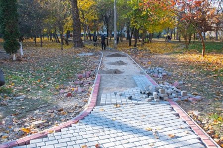 ПАРК «МОЛОДІЖНИЙ» ВЗЯВ КУРС НА ОМОЛОДЖЕННЯ