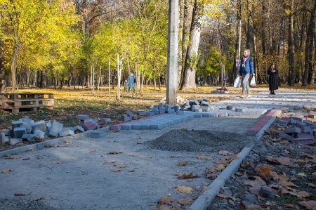 ПАРК «МОЛОДІЖНИЙ» ВЗЯВ КУРС НА ОМОЛОДЖЕННЯ