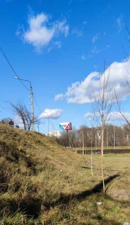 РОЗПОЧИНАЄТЬСЯ ОСІННЯ ВИСАДКА ДЕРЕВ ТА КУЩІВ