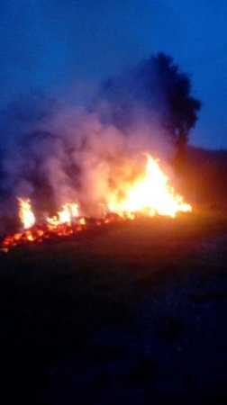  ПРО ЗАПОБІГАННЯ СПАЛЮВАННЯ СУХОЇ РОСЛИННОСТІ ТА ІНШИХ ПОБУТОВИХ ВІДХОДІВ НА ТЕРИТОРІЇ ІВАНО-ФРАНКІВСЬКОЇ МІСЬКОЇ ТЕРИТОРІАЛЬНОЇ ГРОМАДИ