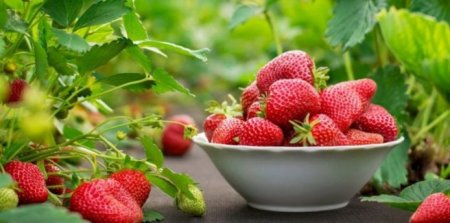СЕЛО БРАТКІВЦІ ІВАНО-ФРАНКІВСЬКОГО МІСЬКОЇ ТЕРИТОРІАЛЬНОЇ ГРОМАДИ