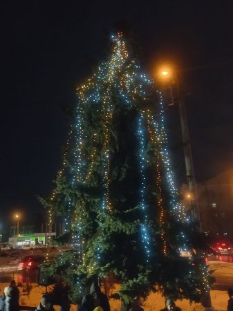 НОВОРІЧНА КРАСУНЯ-ЯЛИНКА ЗАСЯЯЛА НА ЄВРОПЕЙСЬКІЙ ПЛОЩІ