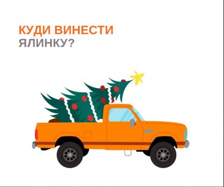 КУДИ ВИНЕСТИ НОВОРІЧНУ ЯЛИНКУ