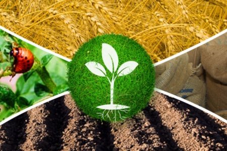 ПІДСУМКИ-2021: ДЕРЖПРОДСПОЖИВСЛУЖБА ПРИКАРПАТТЯ –  ФІТОСАНІТАРНА БЕЗПЕКА 