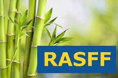 ПОВІДОМЛЕННЯ RASFF: ВИЯВЛЕНО 2–ХЛОРЕТАНОЛУ В ЕКСТРАКТІ БАМБУКА