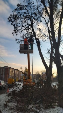 ВИДАЛЕННЯ АВАРІЙНИХ ТА СУХОСТІЙНИХ ДЕРЕВ