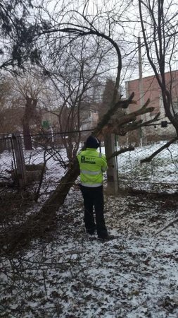 ВИДАЛЕННЯ АВАРІЙНИХ ТА СУХОСТІЙНИХ ДЕРЕВ