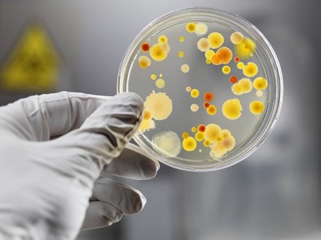 ПІДСУМКИ-2021: ДЕРЖПРОДСПОЖИВСЛУЖБА ПРИКАРПАТТЯ – ДЕРЖАВНИЙ НАГЛЯД ЗА ДОТРИМАННЯМ САНІТАРНОГО ЗАКОНОДАВСТВА 