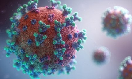 ІНФОРМАЦІЯ ДЕРЖПРОДСПОЖИВСЛУЖБИ ІВАНО-ФРАНКІВЩИНИ З ПИТАНЬ ПРОТИДІЇ  КОРОНАВІРУСУ