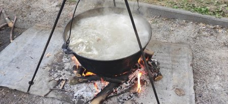 Пластуни у палаці Потоцьких варили борщ 