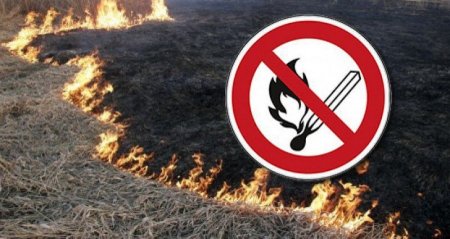 Спалювання стерні та сухостою — злочин!