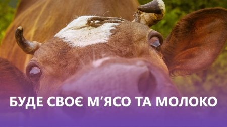 На сесії Івано-Франківської міської ради проголосували за прийняття Програми розвитку сільського господарства громади