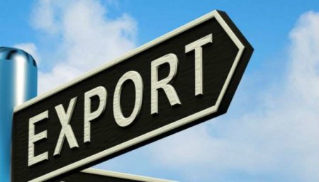 Фітосанітарні інспектори Держпродспоживслужби Івано-Франківщини вдвічі збільшили обсяги проведення фітосанітарних процедур під час дії воєнного стану