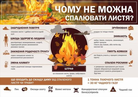 Не паліть суху траву та стерню!
