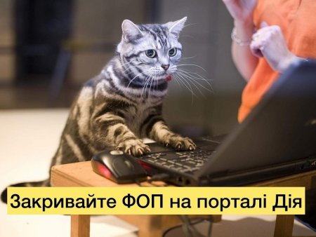 Закривайте ФОП за секунду на порталі Дія