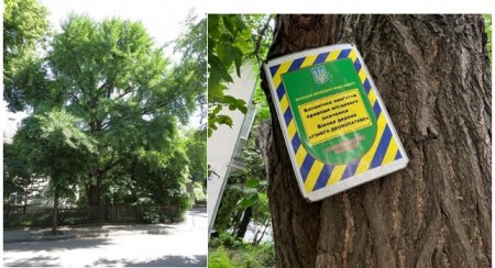 7 липня країна відзначає День працівників природно-заповідної справи