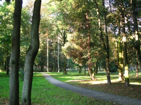 7 липня країна відзначає День працівників природно-заповідної справи