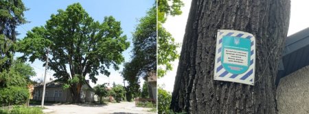 7 липня країна відзначає День працівників природно-заповідної справи