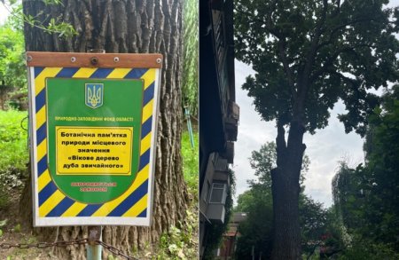 7 липня країна відзначає День працівників природно-заповідної справи